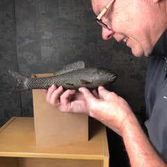 Große alte Japan große Hand gegossen Bronze Koi Fisch Glück und Wohlstand Talisman