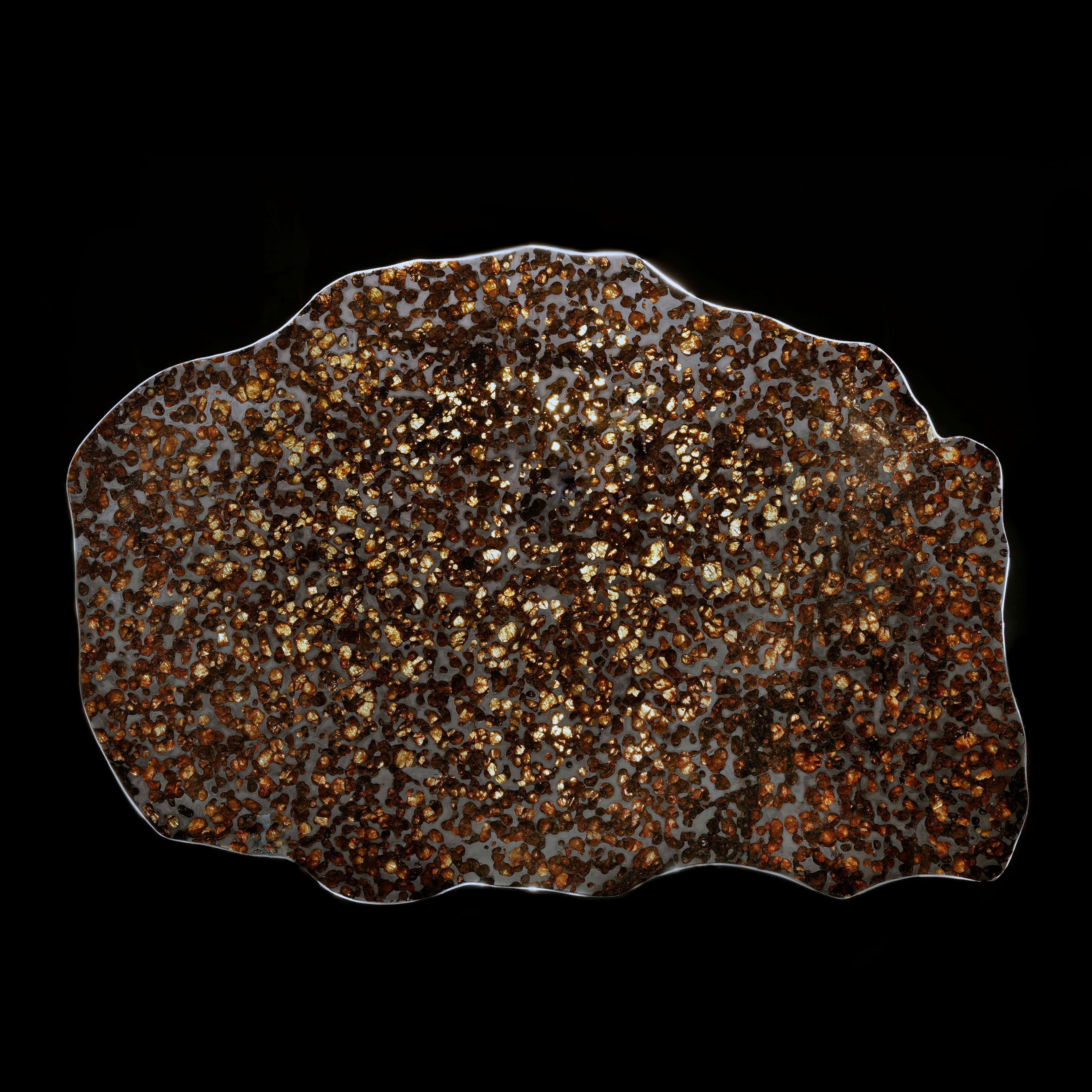 This extraordinary slice of a Pallasite meteorite showcases a stunning arrangement of olivine crystals embedded in an iron-nickel matrix. Known for their celestial beauty, Pallasite meteorites are among the rarest types of meteorites, believed to