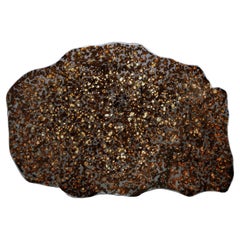 Big Pallasite Meteorite Slice