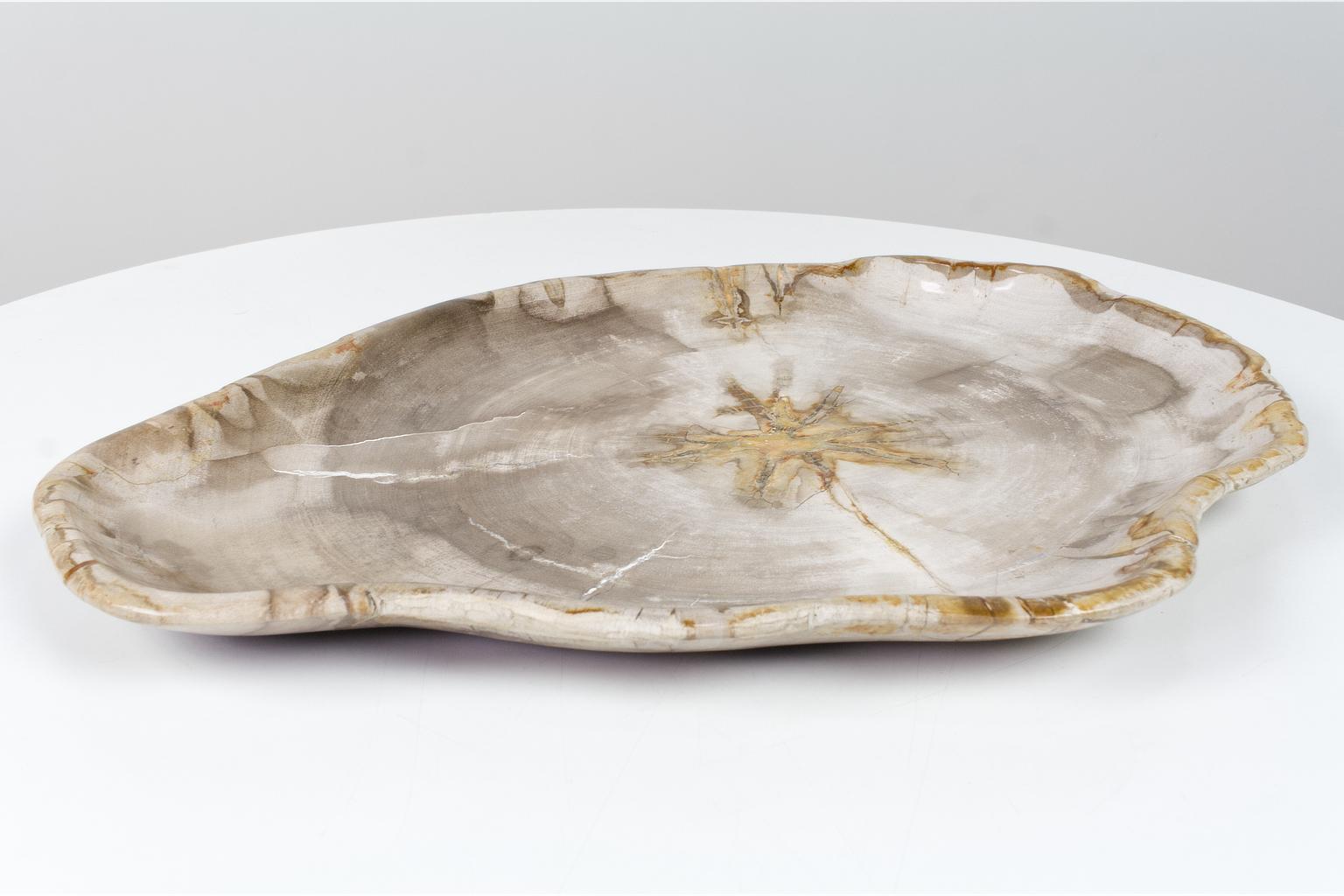 A large and smooth sanded petrified wooden object or organically shaped plate. The high gloss finish is a result of smooth sanding the item. This unique and ancient object in beige tones is of organic origin and has the original organic shape.