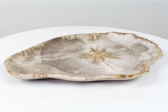 Large Petrified Wooden Plate in Beige Tones, Object Organic Origin