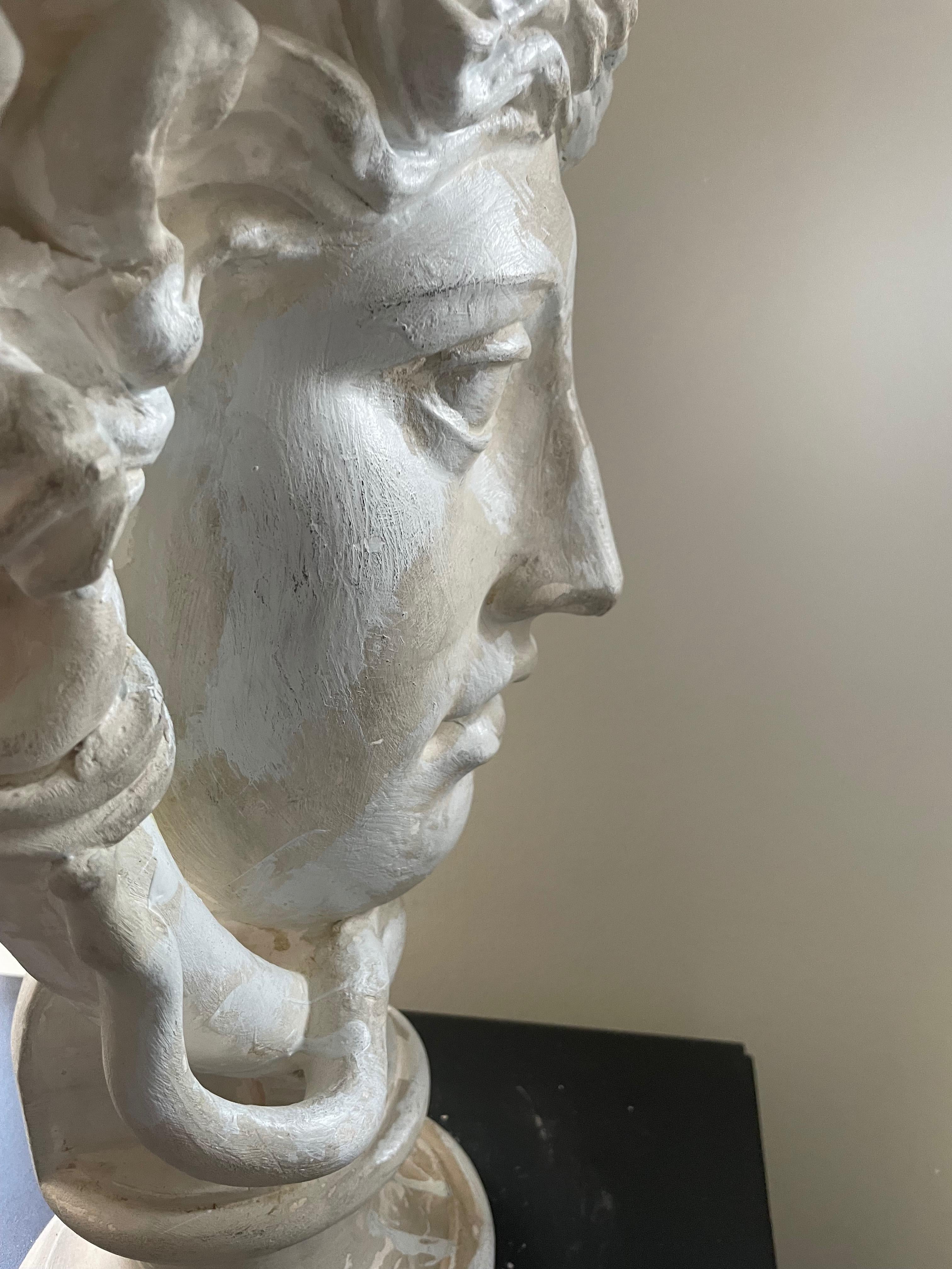 Classical Greek Big Plaster Sculpture of Medusa Head, Belgium 1960 For Sale
