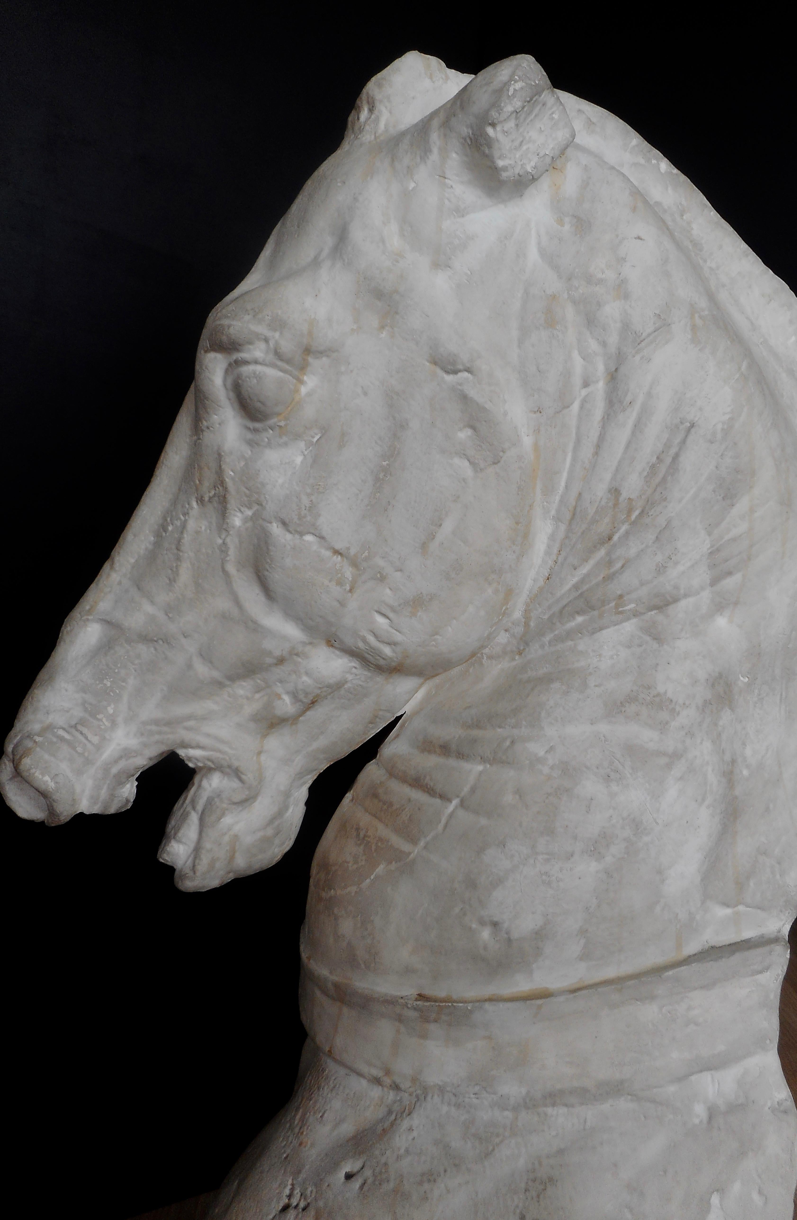 Plaster sculpture of Phidias horse (British Museum).
From a former sculptor workshop,
circa 1930.