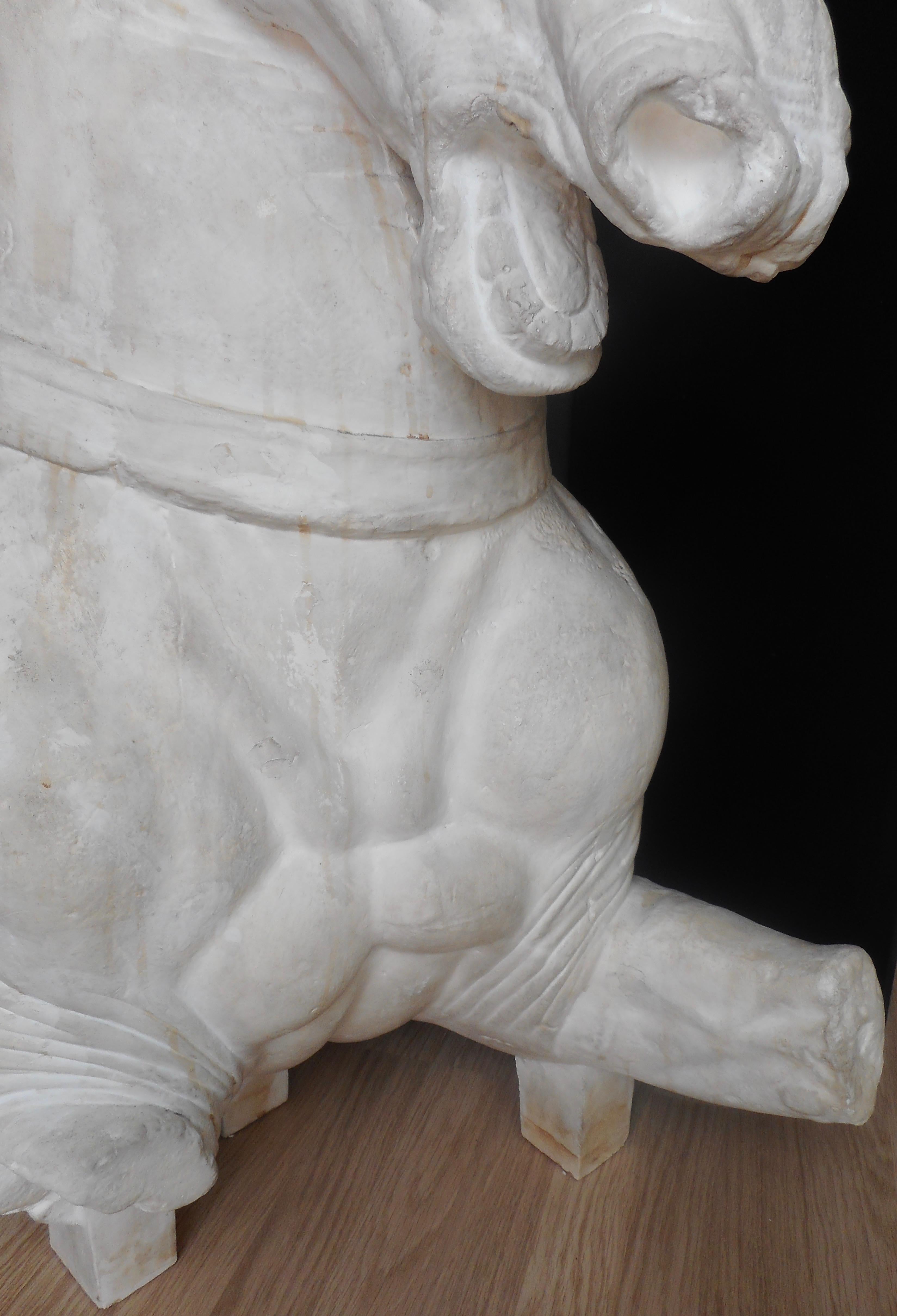 Classical Greek Big Plaster Sculpture of Phidias Horse, France For Sale