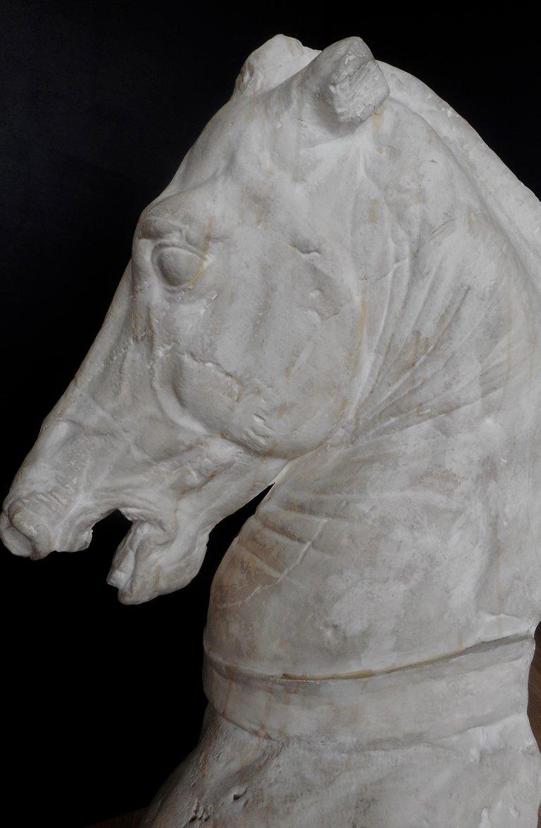 French Big Plaster Sculpture of Phidias Horse, France