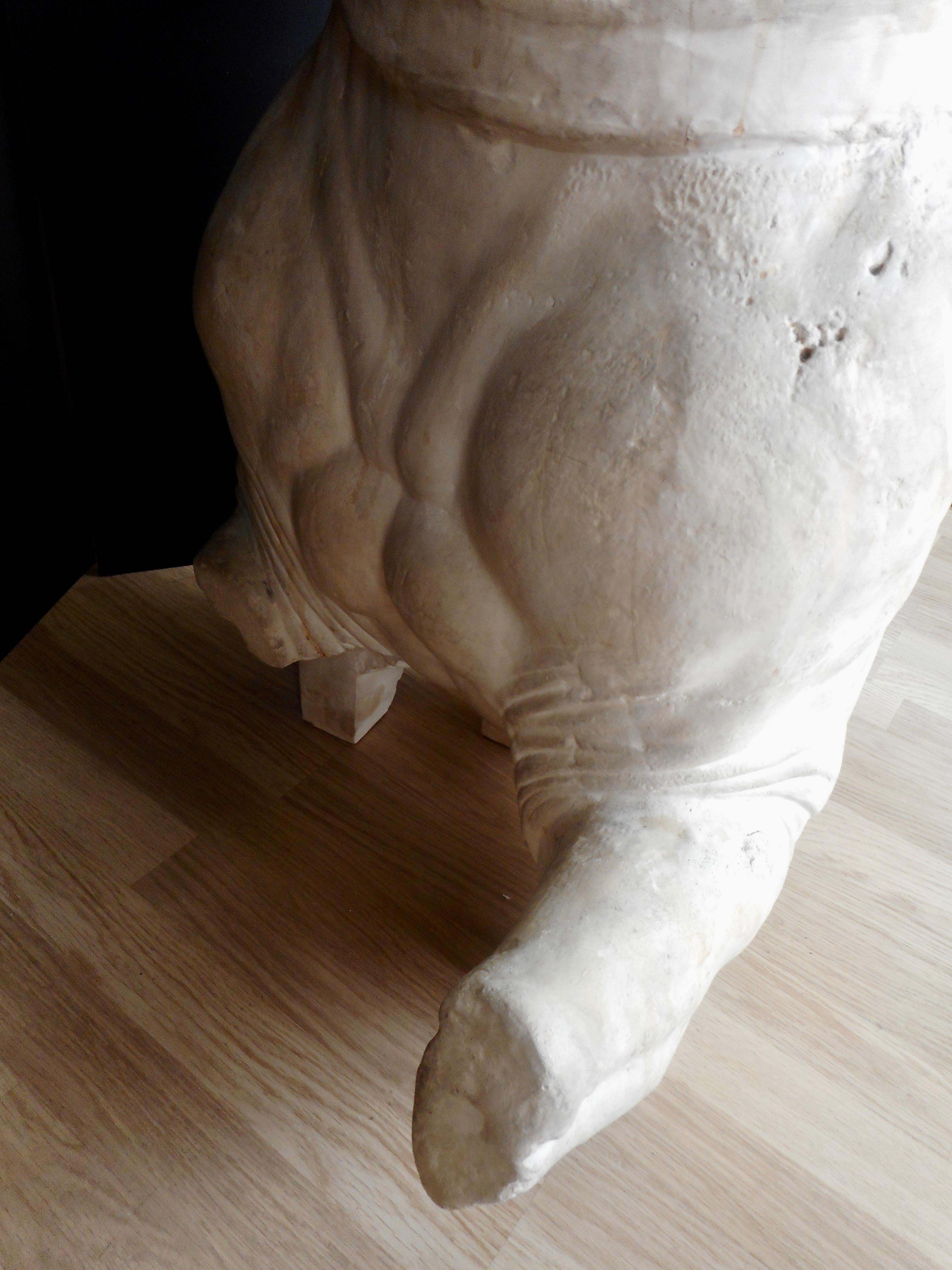 Big Plaster Sculpture of Phidias Horse, France In Excellent Condition For Sale In Brussels, BE