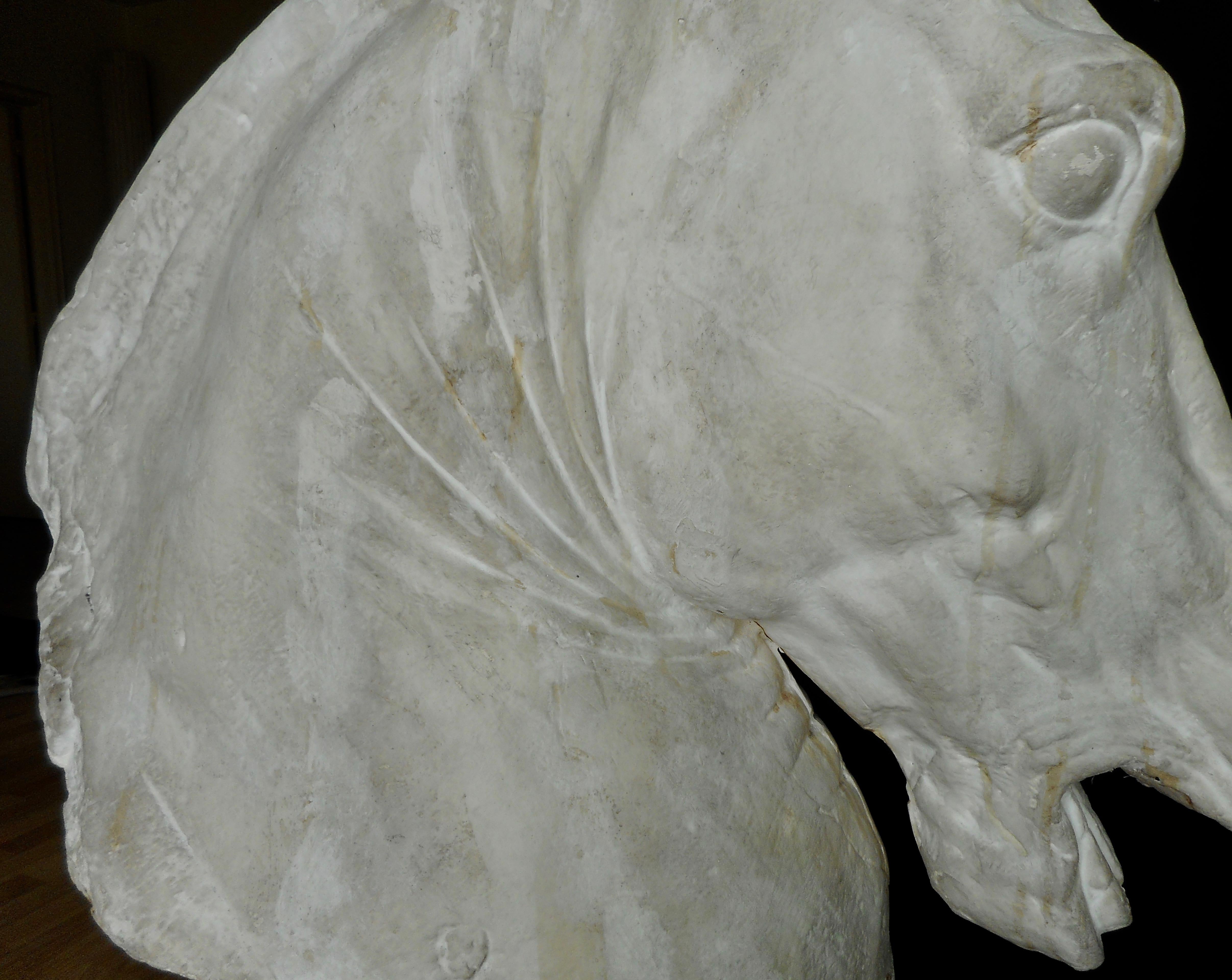 Mid-20th Century Big Plaster Sculpture of Phidias Horse, France For Sale