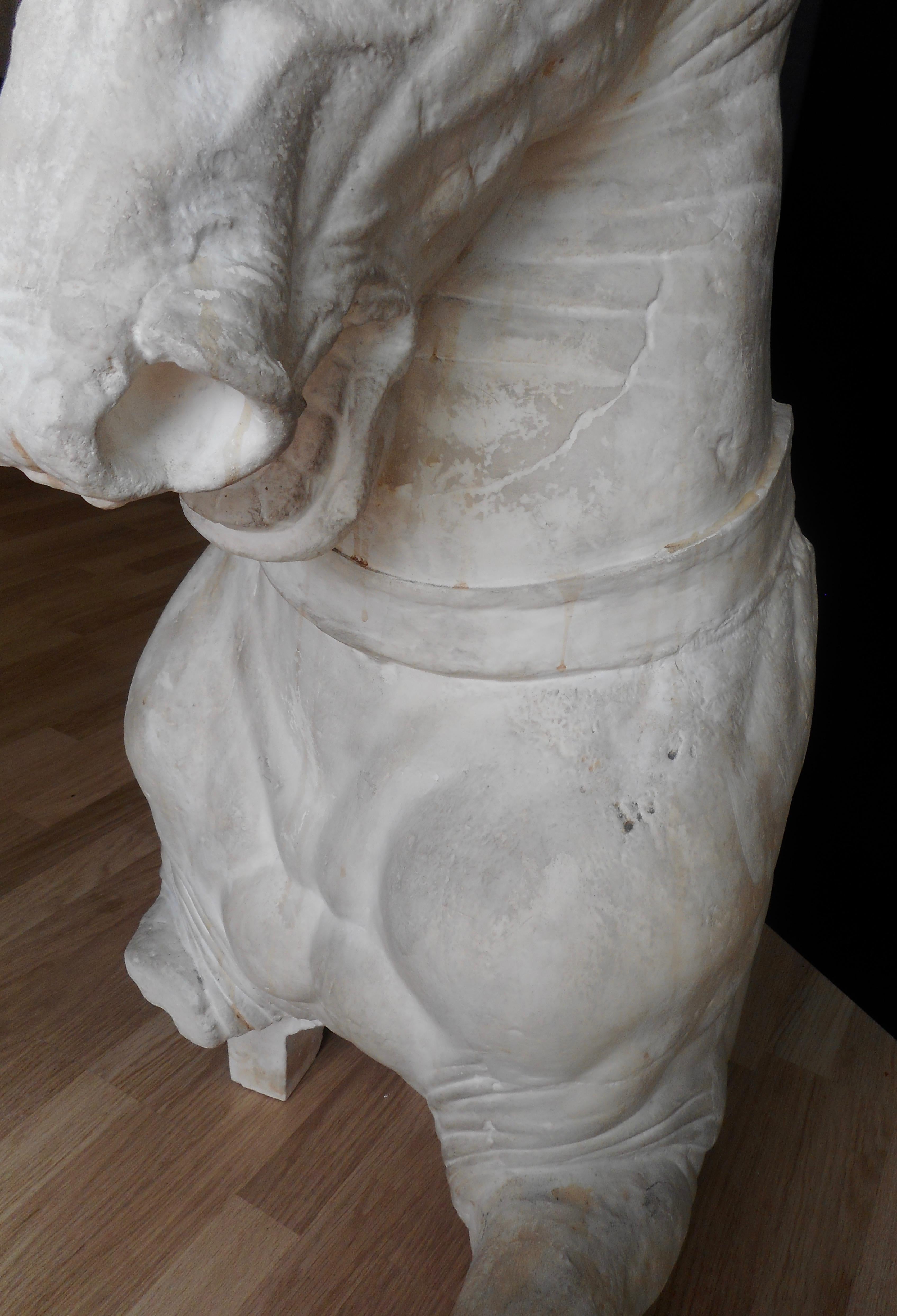 Big Plaster Sculpture of Phidias Horse, France For Sale 1