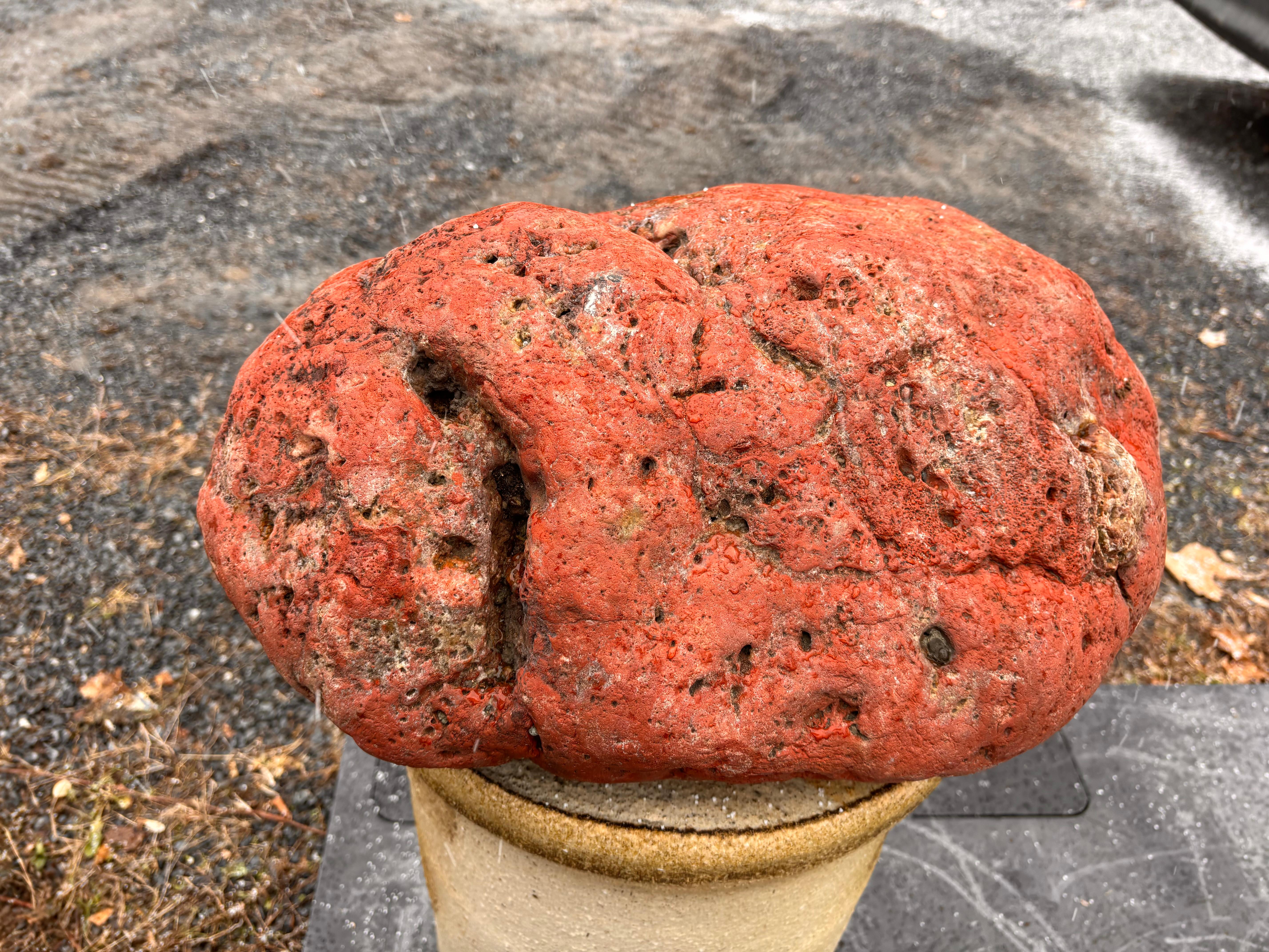 Piedra de jardín erudita en forma de montaña natural roja grande, belleza de roca espiritual en venta 1