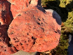 Big Red Natural Mountain Scholar Garden Stone Beauty #2