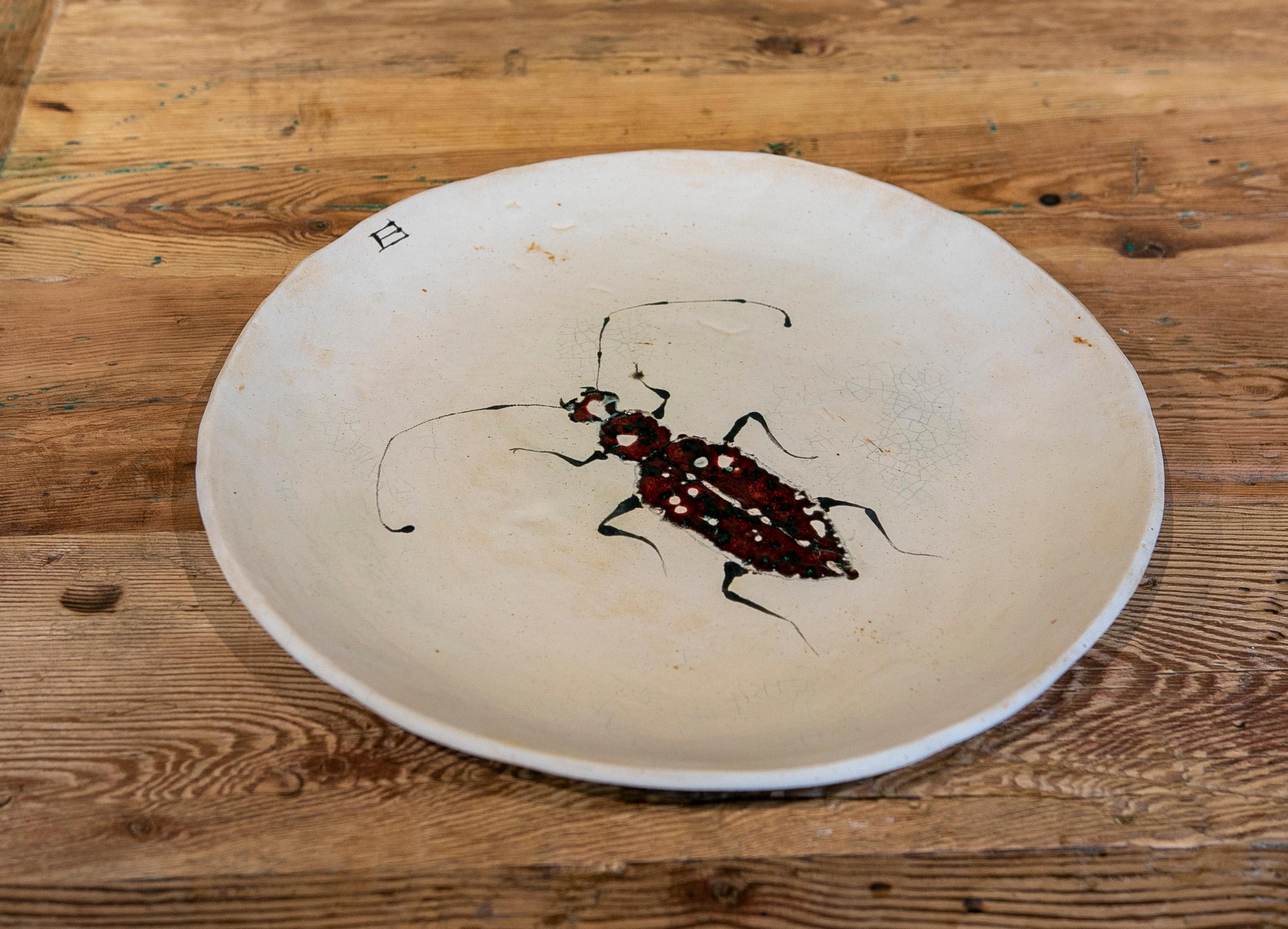 Big round plate in hand painted ceramic with Insect.