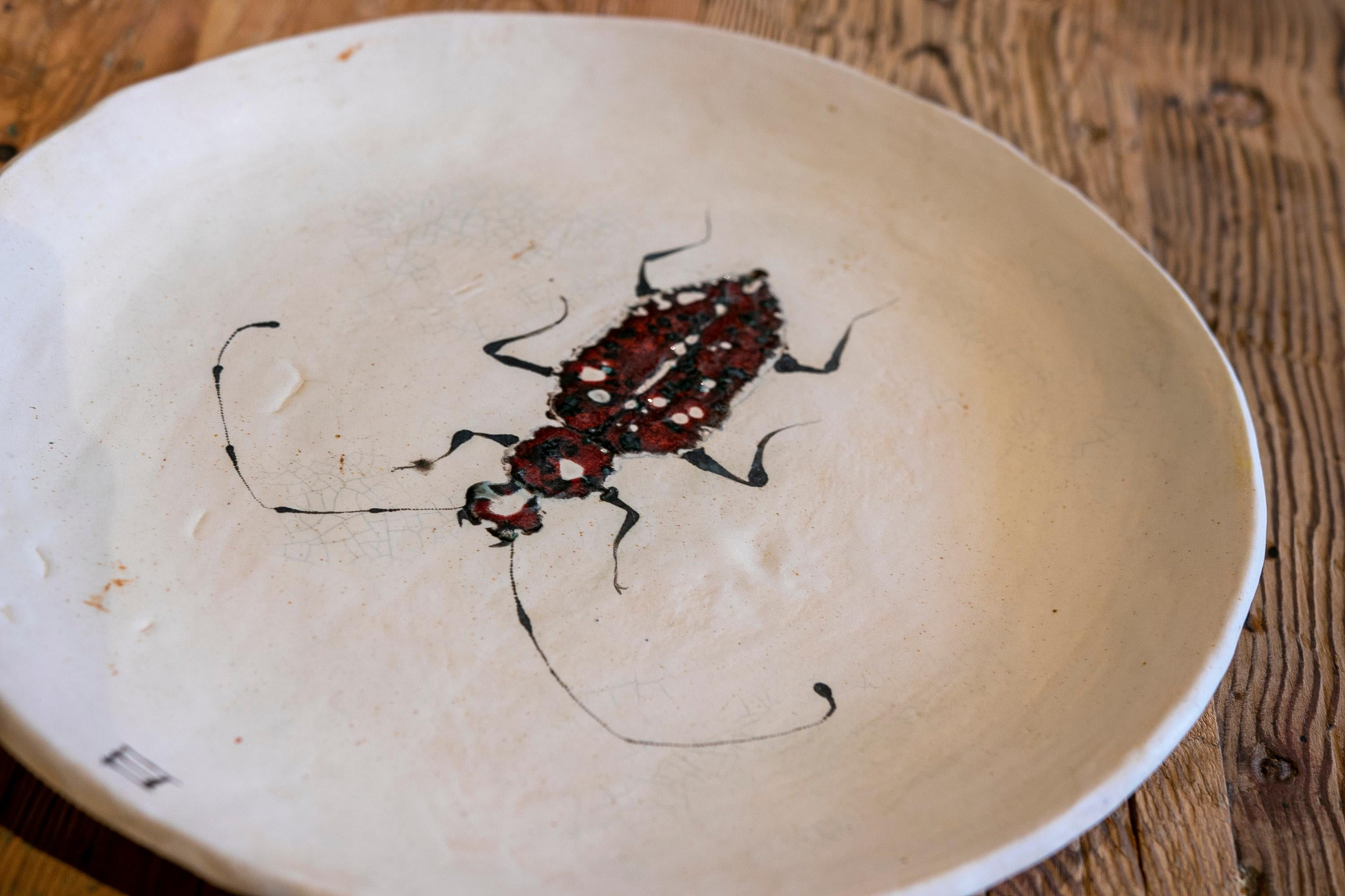 Big Round Plate in hand painted Ceramic with Insect 1