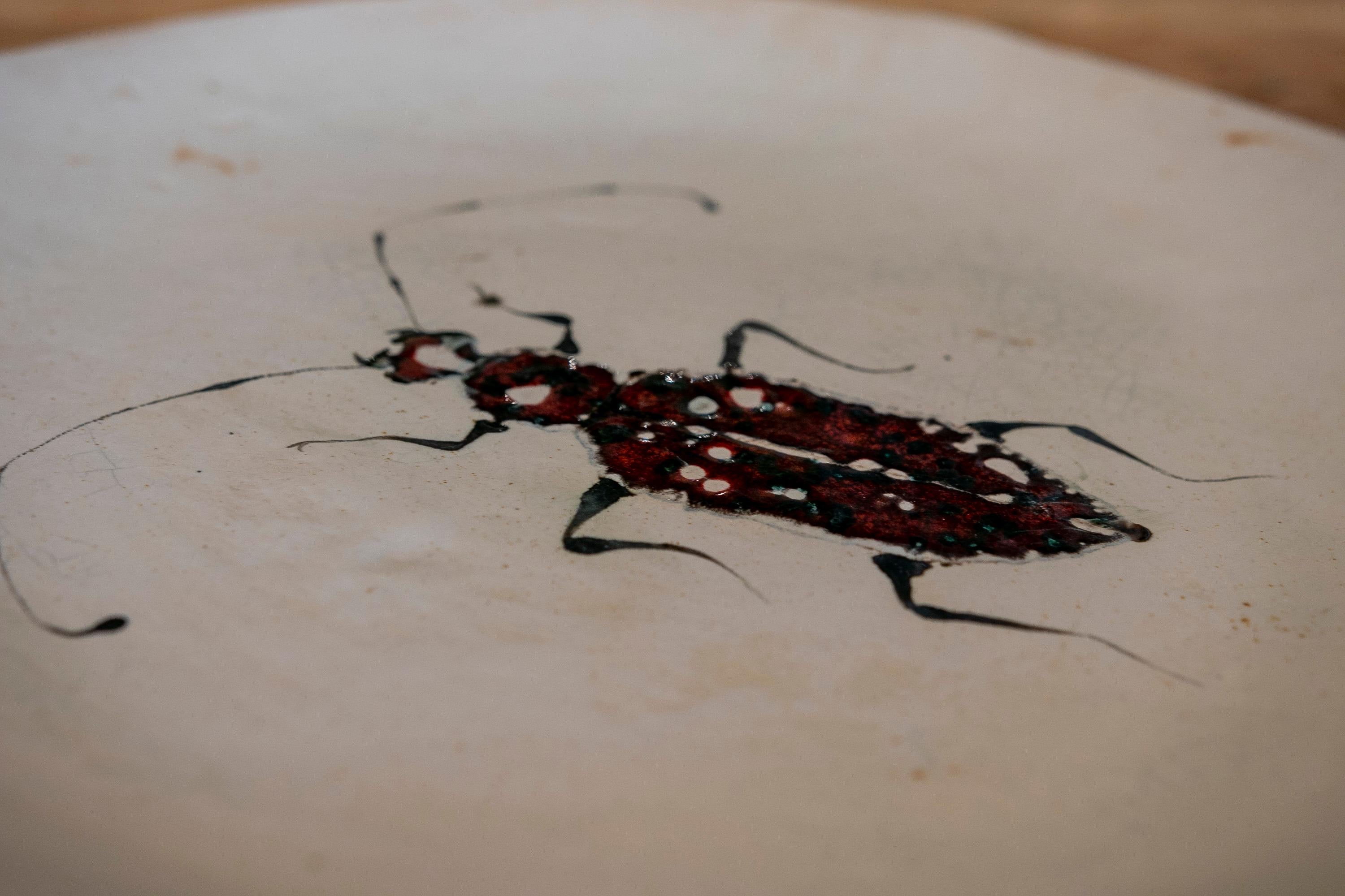 Big Round Plate in hand painted Ceramic with Insect 3