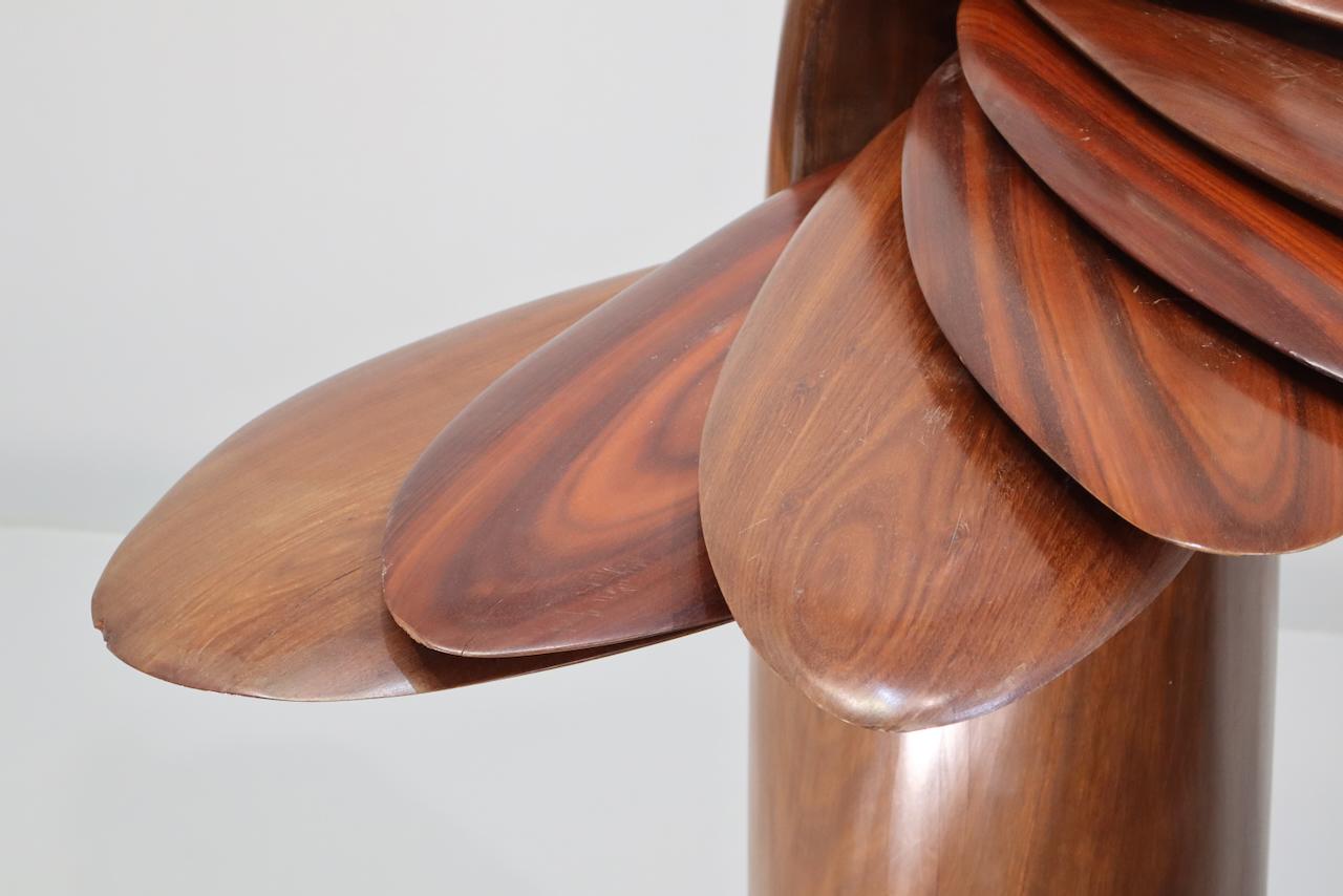 Grande sculpture abstraite en bois : série Amazonia d'Elvio Becheroni en vente 5