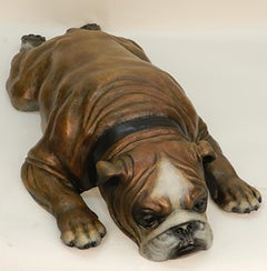 English Bulldog