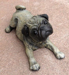 Pug
