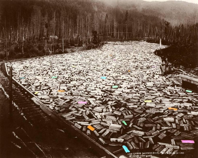 Bill Armstrong After Darius Kinsey I For Sale at 1stDibs darius