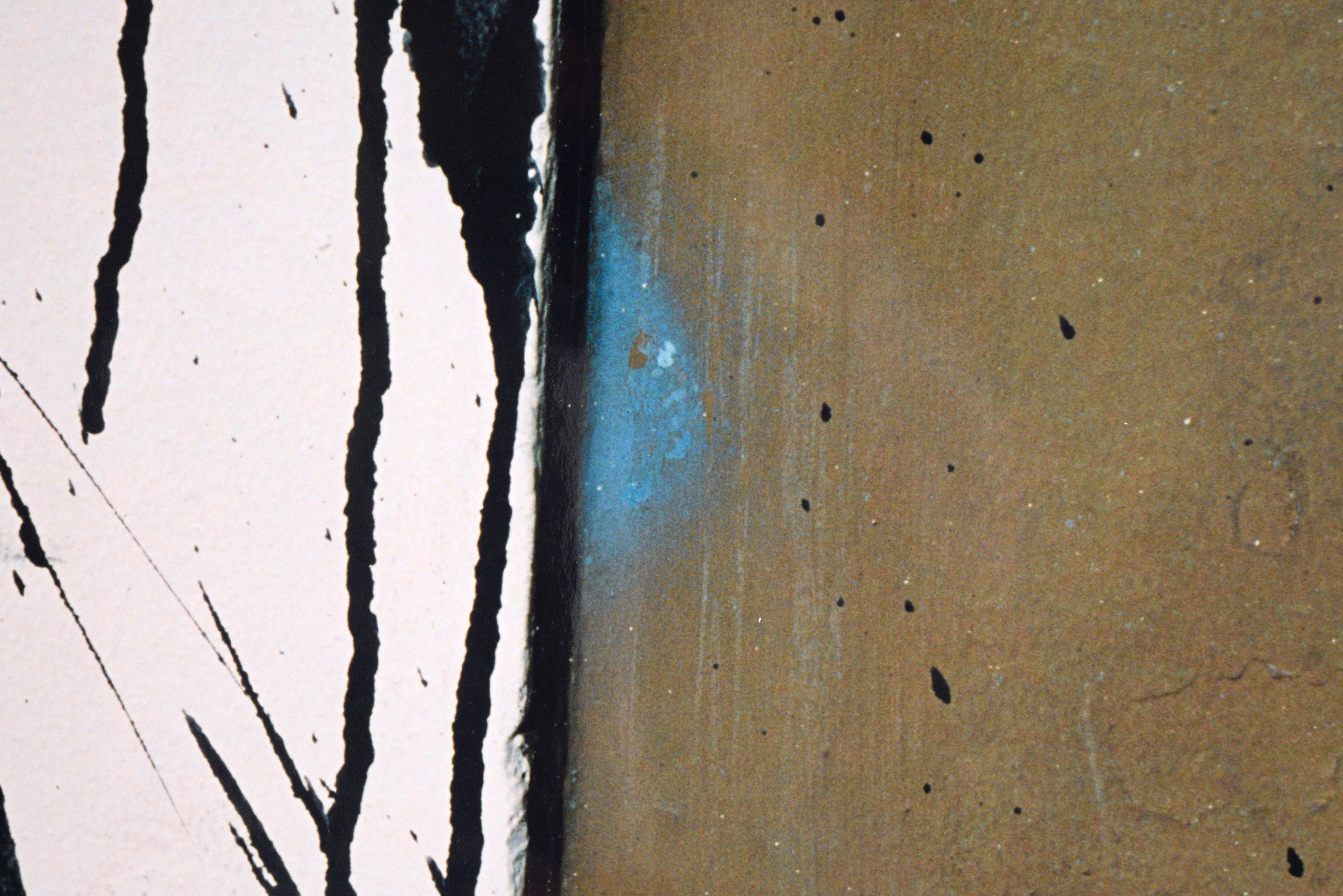 Weiße Farbspritzer - Großformatige Strukturfotografie

Detailliertes Makrofoto von Bill Clark (Amerikaner, 20. Jahrhundert). Clark hat ein Foto von weiß gestrichenem Beton mit einem Klecks schwarzer Farbe gemacht. Dieses Stück ist mit dem Label