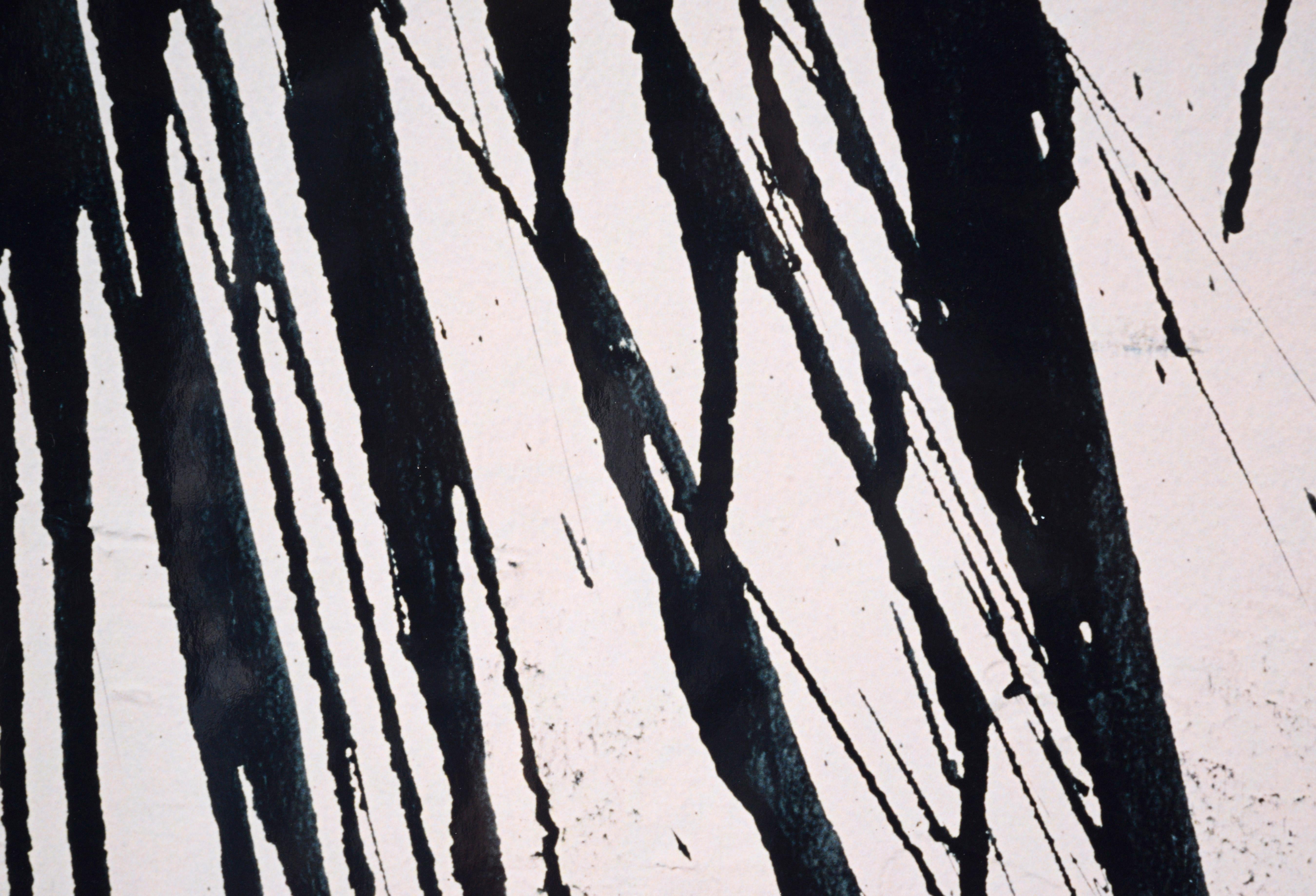 Black Paint Splatters - Large Scale Textural Photograph For Sale 3