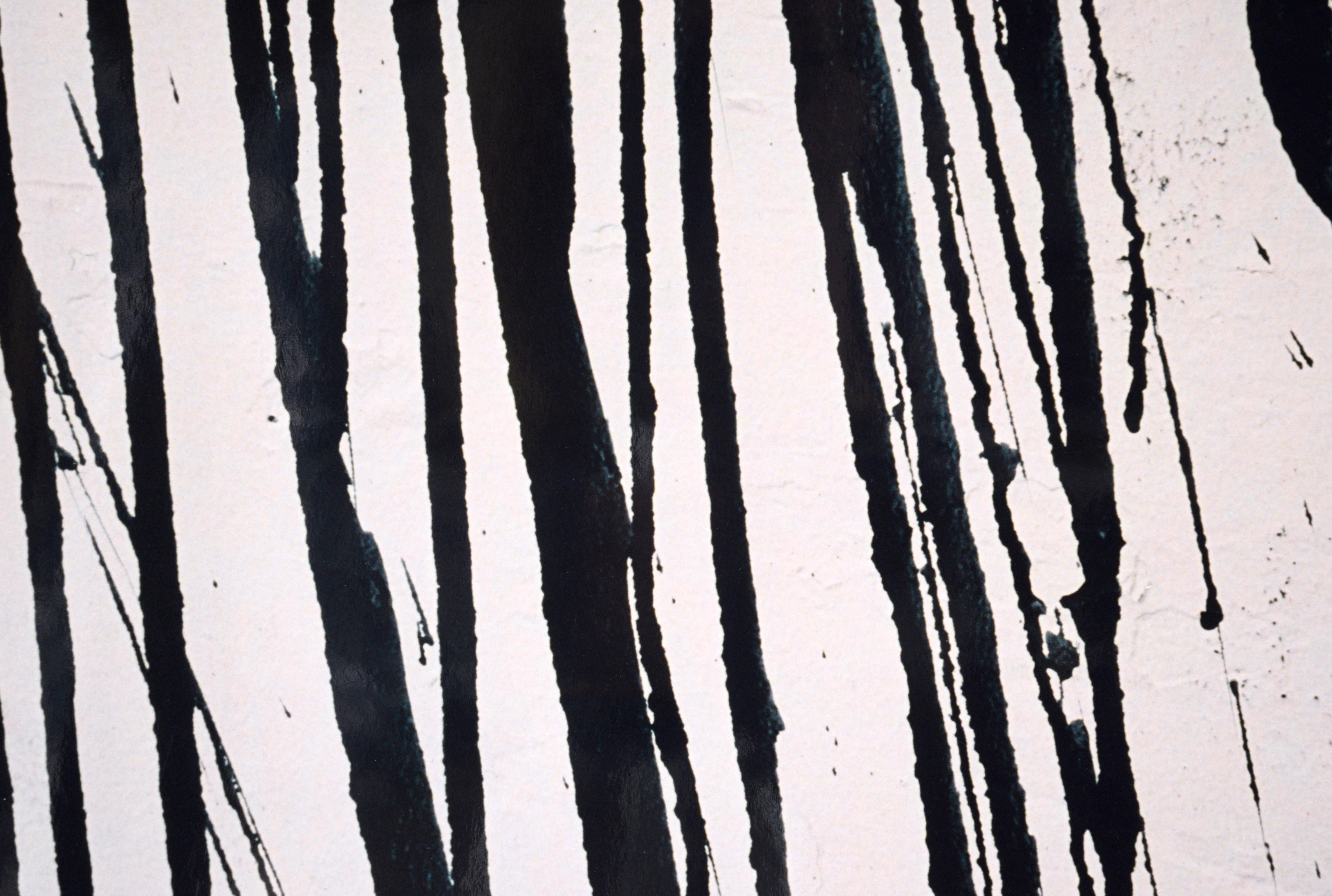 Black Paint Splatters - Large Scale Textural Photograph For Sale 4