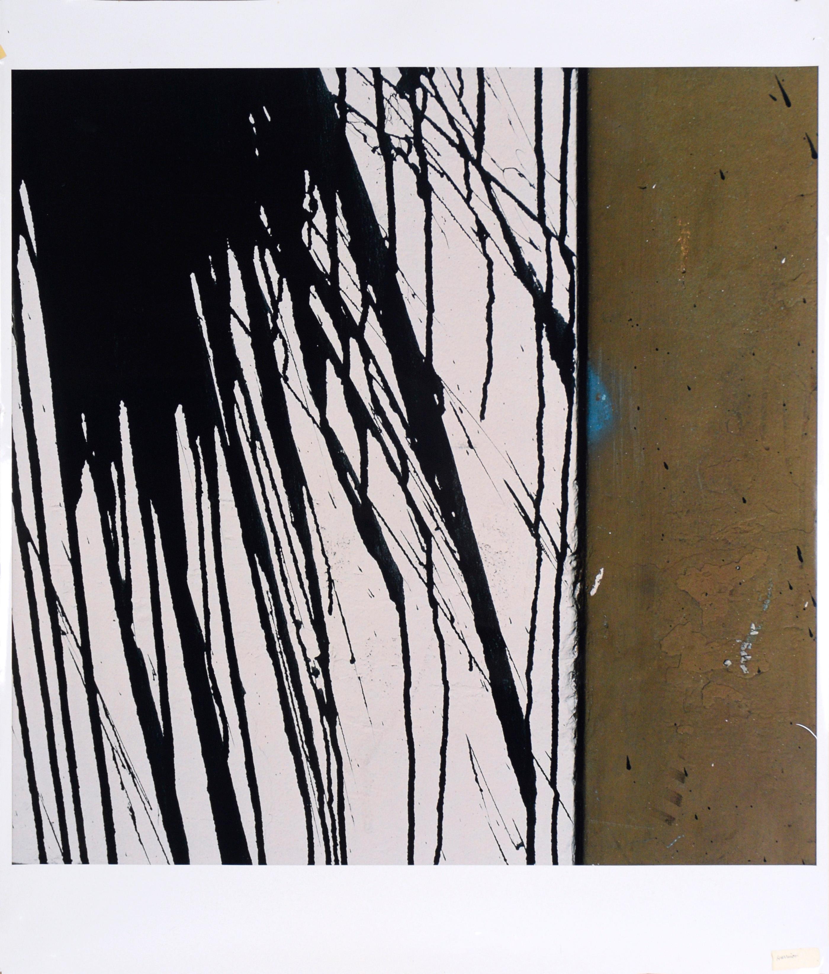 Bill Clark Abstract Photograph – Schwarze Farbspritzer – großformatige Texturfotografie in Schwarz