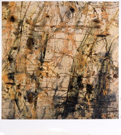 Pintura arañada - Fotografía de textura a gran escala