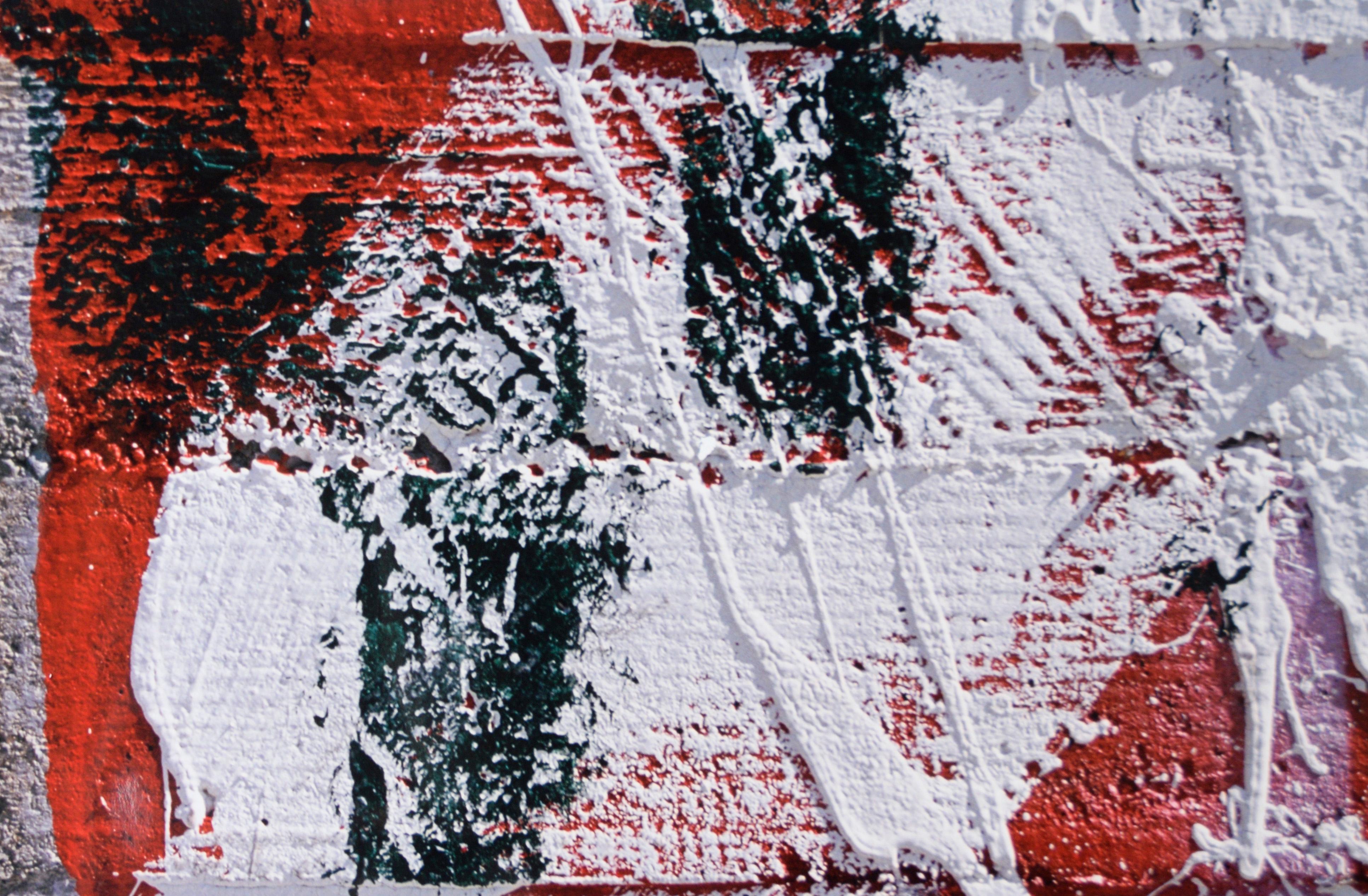 White Paint Splatters - Large Scale Textural Photograph

Detailed macro photo by Bill Clark (American, 20th Century). Clark has taken a photograph of heavily painted concrete, with white and green splatters across a red background. The close-up