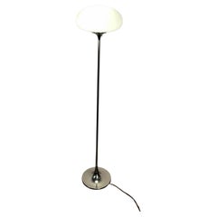 Floor Lamps