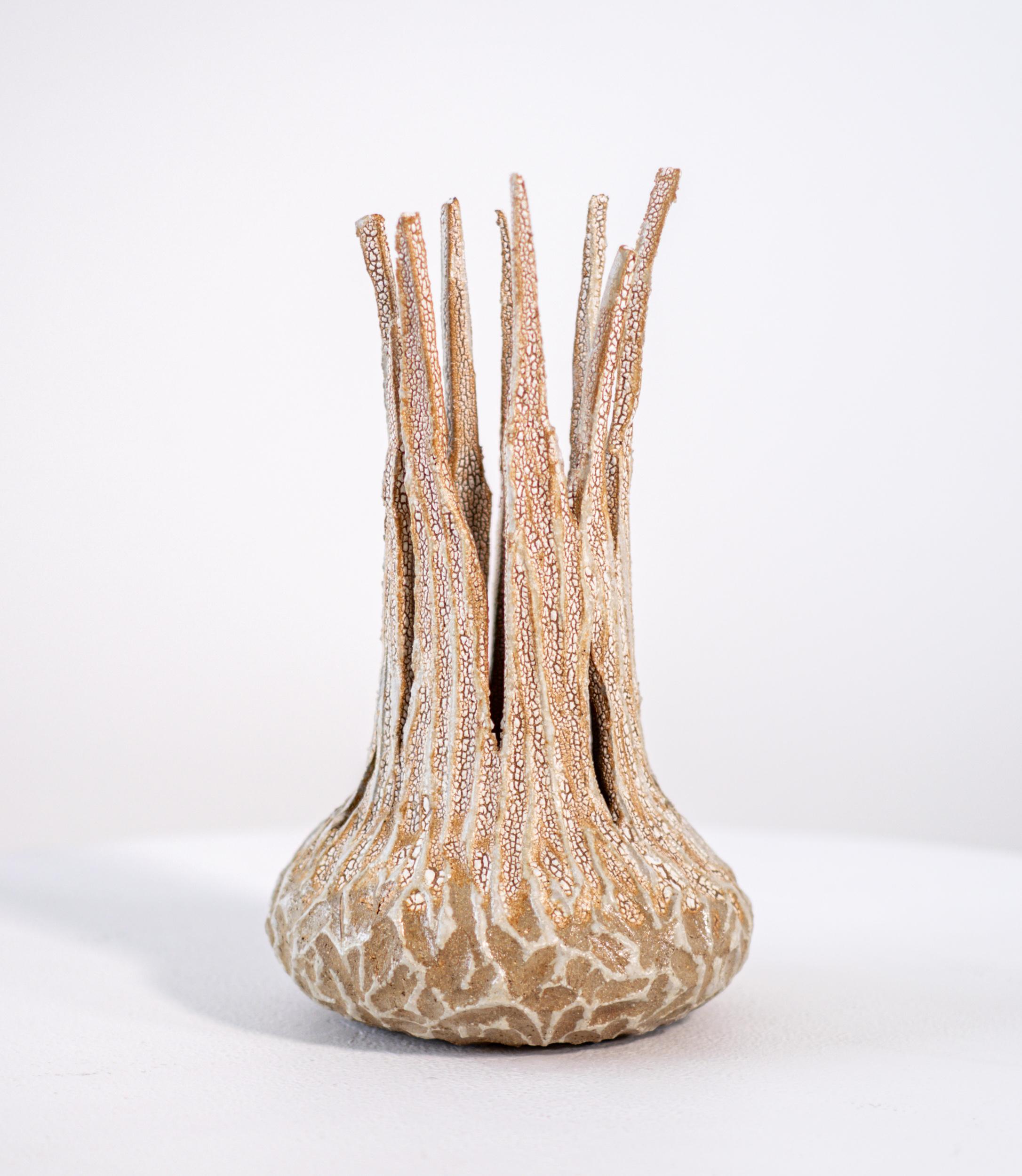 Sprouted Vessel - abstract, glazed, vessel, ceramic sculpture