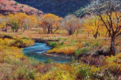 Canyon di Cottonwood