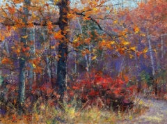 Tocco di Luce