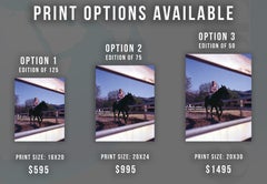 Tippi Hedren on Horse Fine Art Print