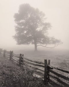 Baum Fog and Fence, Va