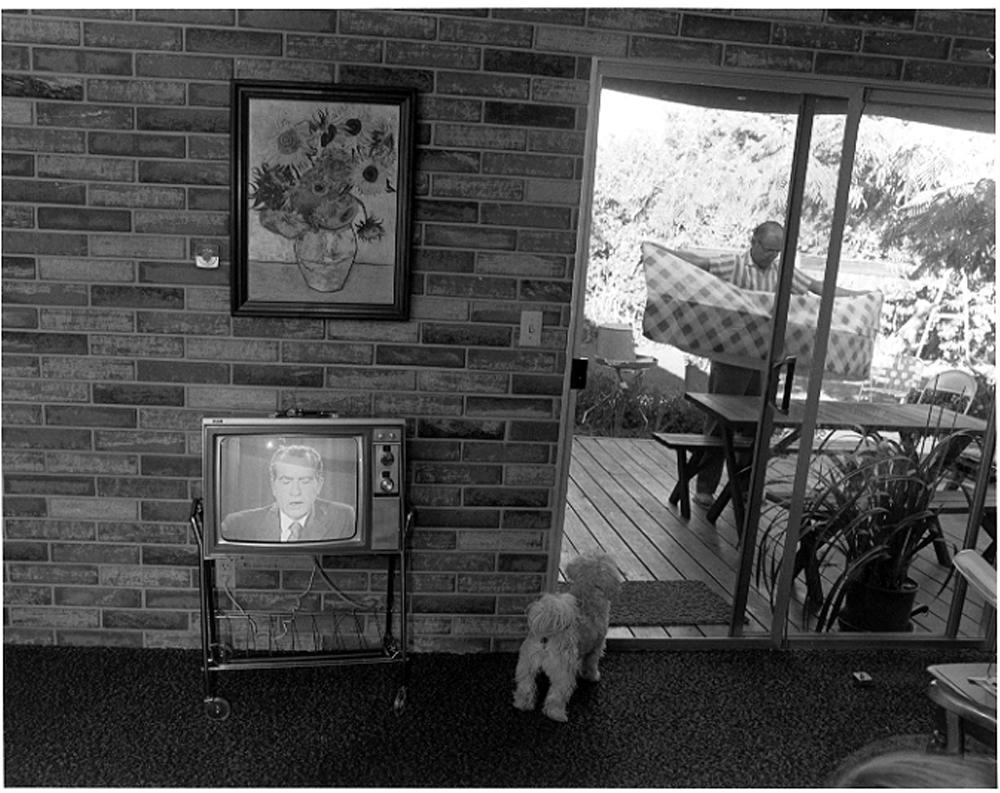 Nixon on TV de Bill Owens présente une scène de salon. Une image de Richard Nixon est figée en plein discours sur l'écran de télévision. Une reproduction encadrée du Vase avec douze tournesols de Vincent Van Gogh est accrochée au-dessus de la