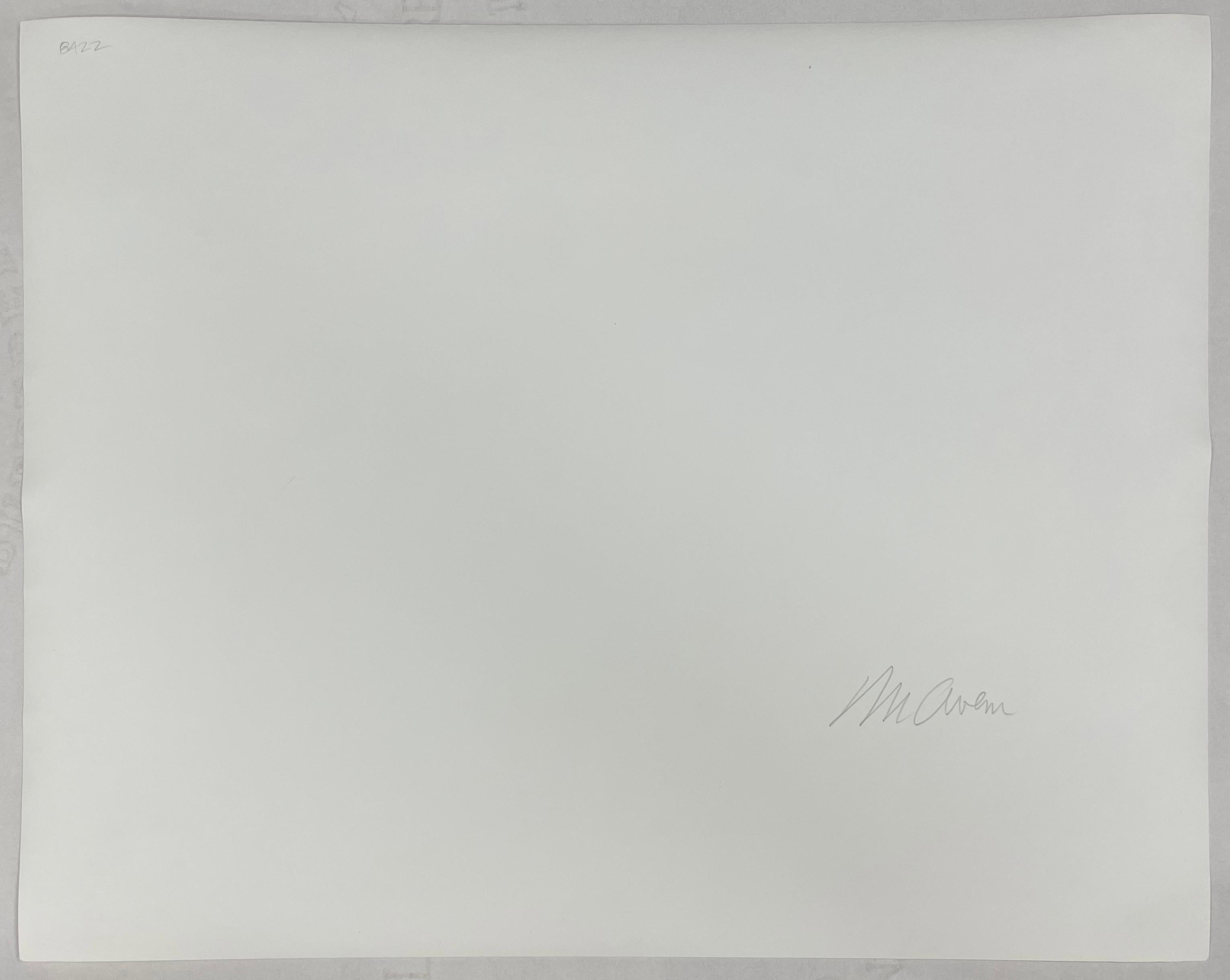 Untitled (Driveway) - Black and White Landscape, Suburban, Neighborhood For Sale 2