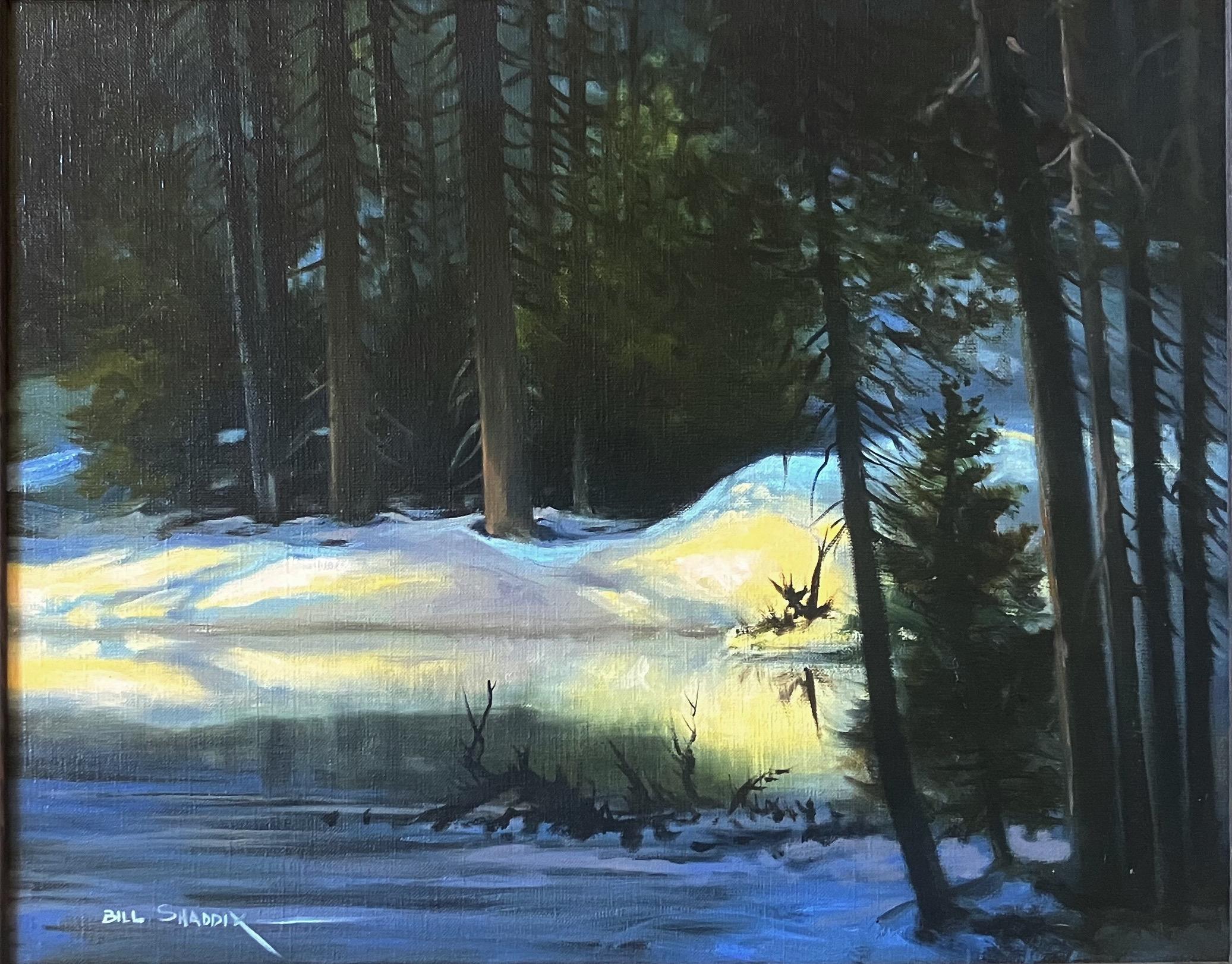 Tiefe Schatten – Painting von Bill Shaddix