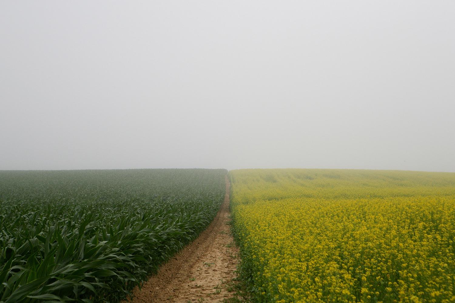 Bill Tansey Landscape Photograph - BH Farm