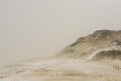 Tempête en tête de prairie