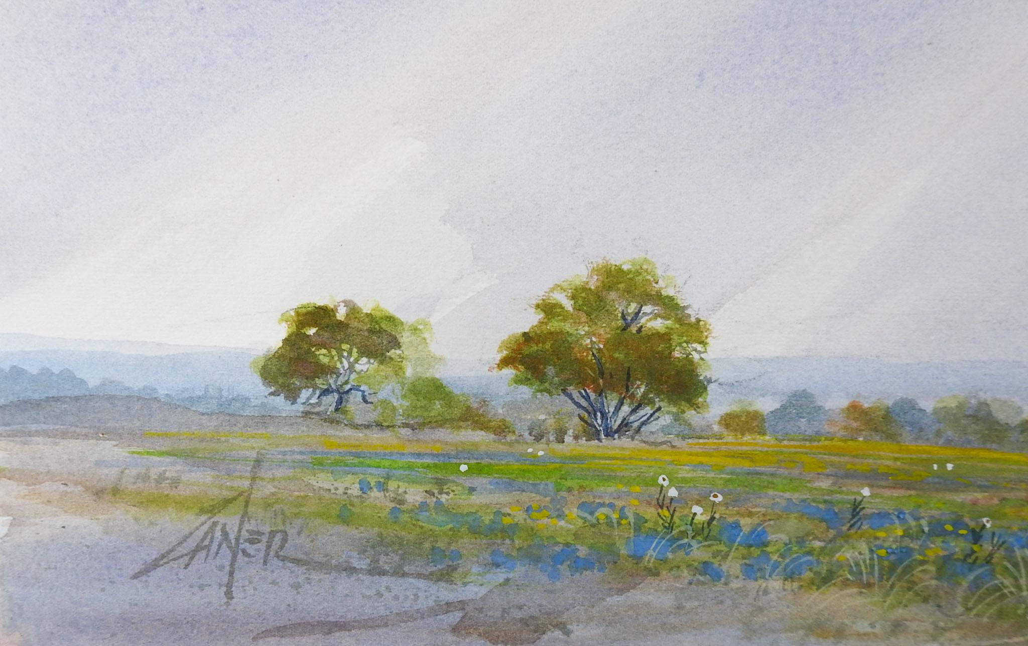 Watercolor on paper of Texas Hill Country bluebonnets by Bill Zaner (1930 - 2015) Texas, Arizona. Signed lower left corner, signed, titled Hill Country Afternoon 1986 on verso. Unframed.