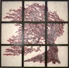 Hollow Log St. Contemporary Encaustic Painting