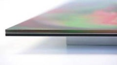 Lobo Ritratto fotografico a colori su Dibond con fronte in Perspex Resistente ai raggi UV