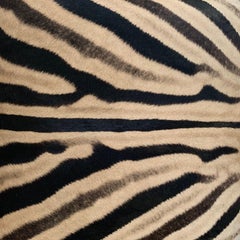 Billy Baldwin Style X-Benches Restored in Zebra Hide, Pair
