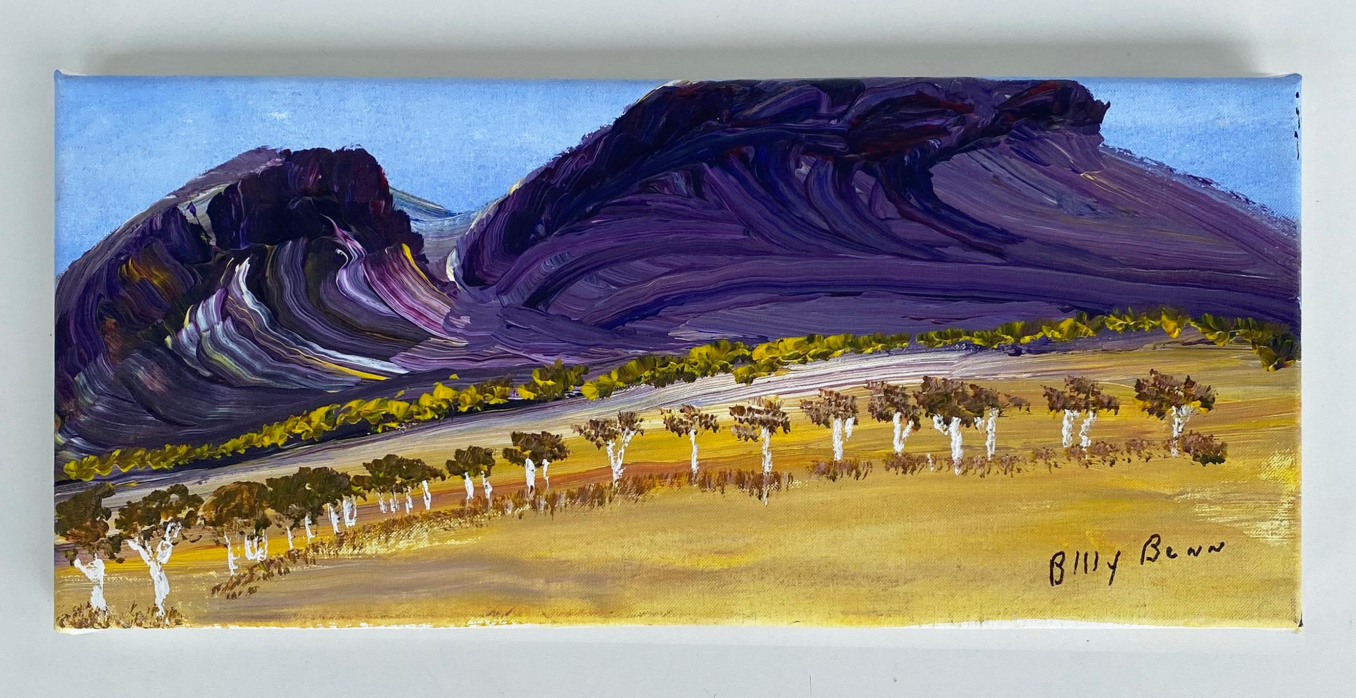 Billy Benn Perrurle Australian Aboriginal Landscape Paintings, Set of 3 For Sale 5