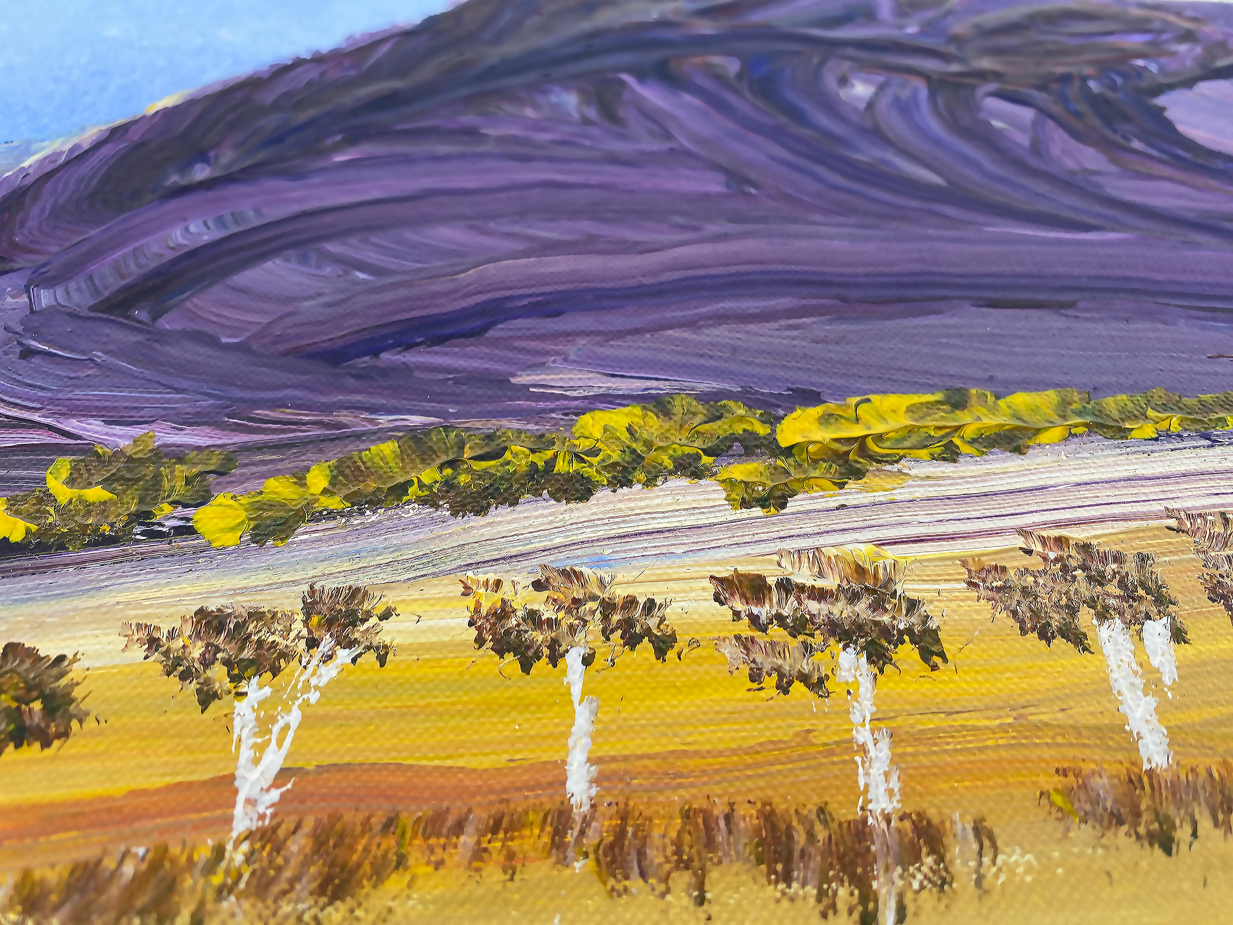 Billy Benn Perrurle Australian Aboriginal Landscape Paintings, Set of 3 For Sale 6