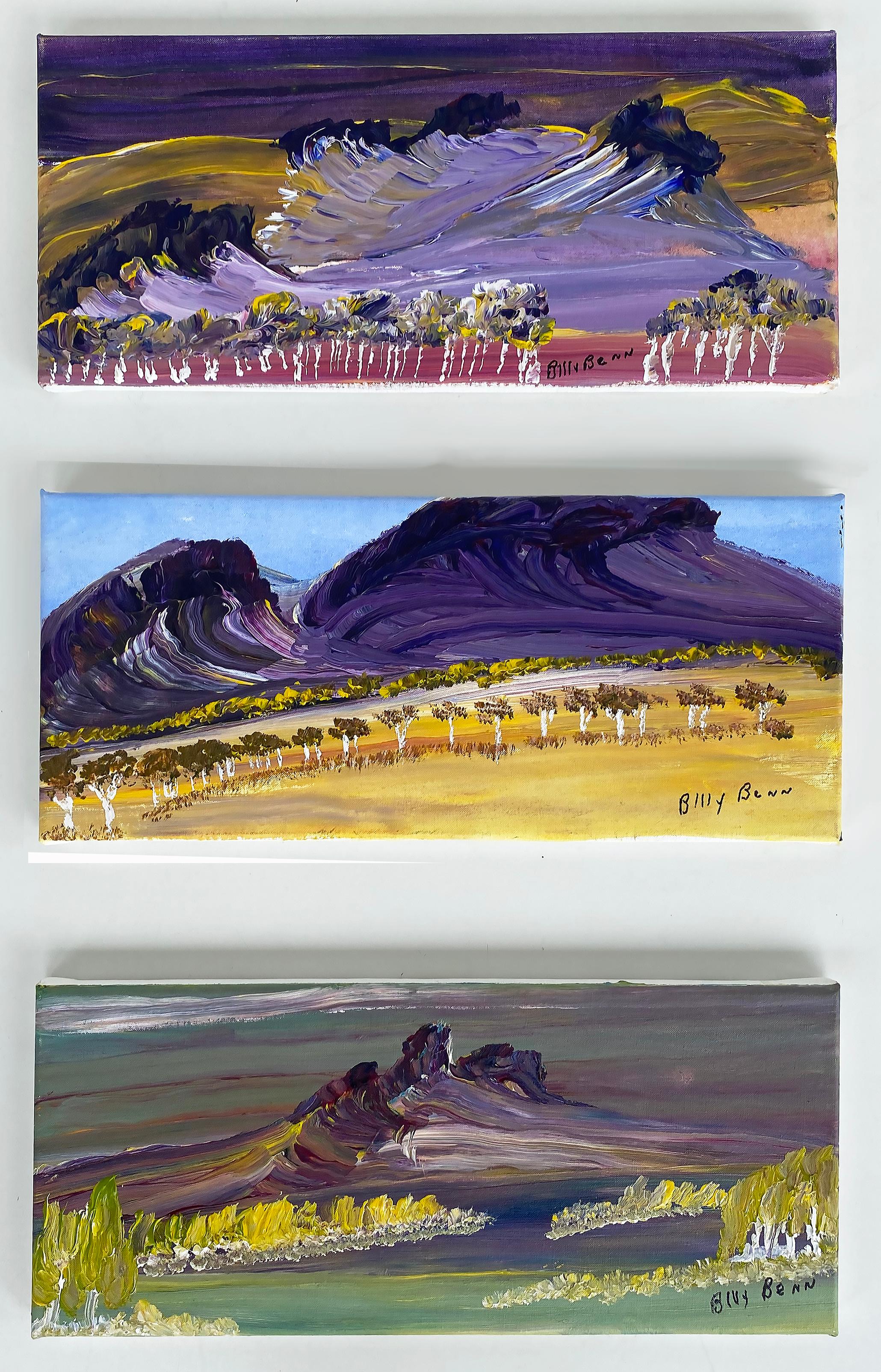 Billy Benn Perrurle Australian Aboriginal Landscape Paintings, Set of 3 For Sale 10