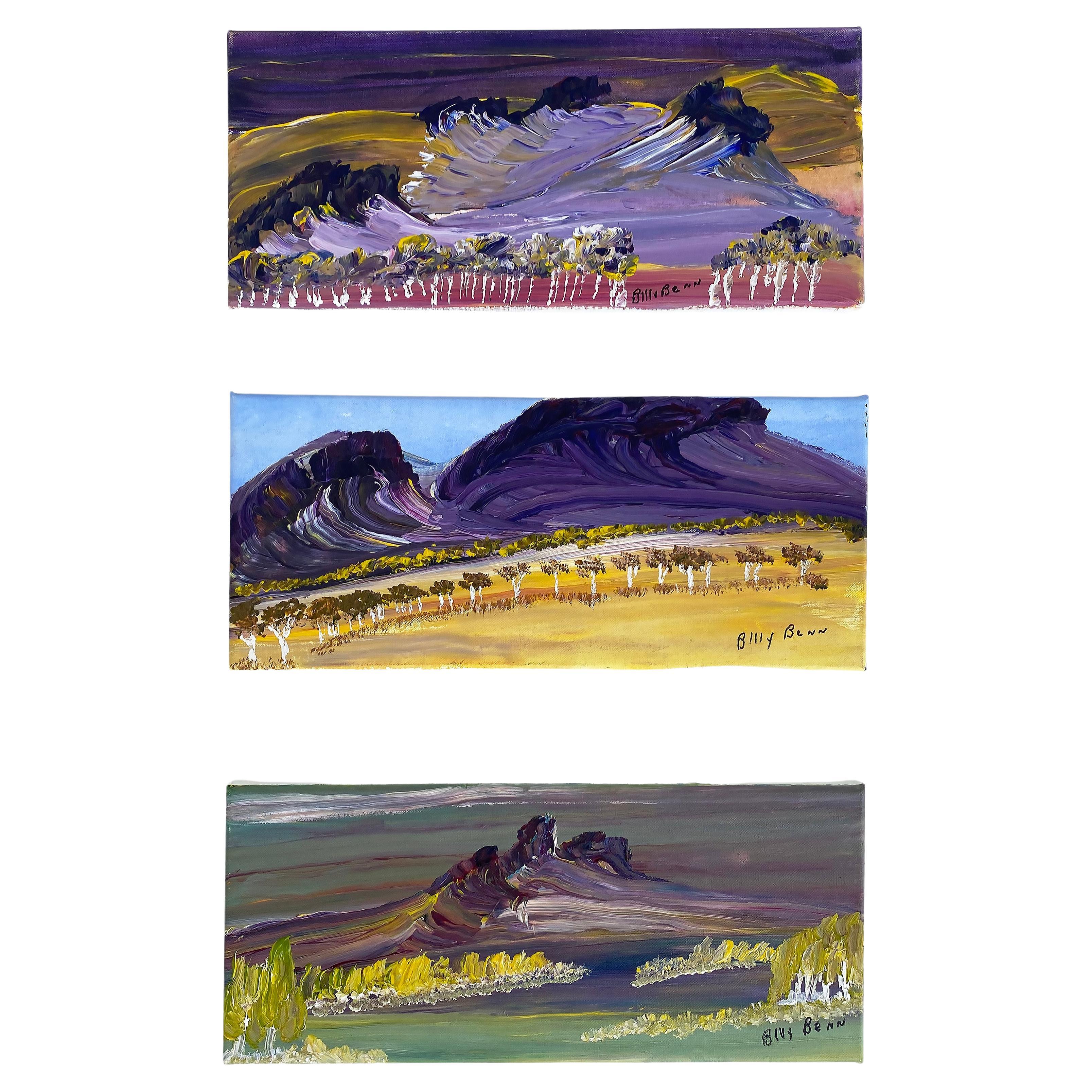 Billy Benn Perrurle Australian Aboriginal Landscape Paintings, Set of 3 For Sale