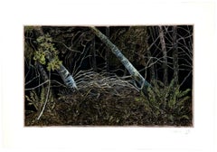 Night Forest