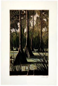 Through Cypress Trees