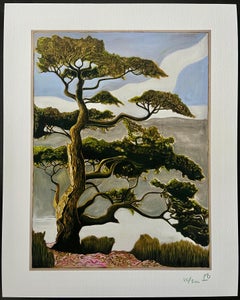 Árbol - Seattle