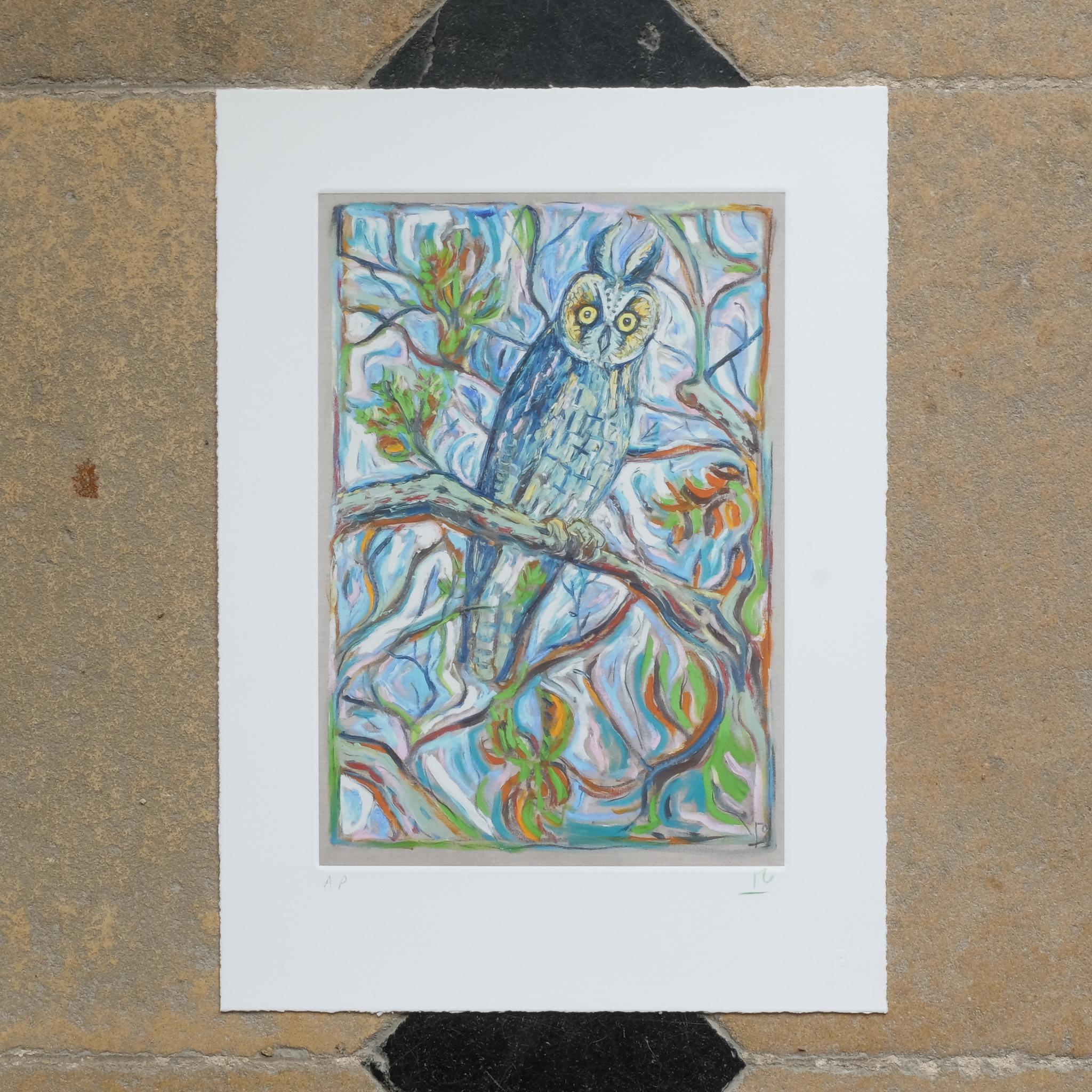 Giclee print in colours with screenprinted varnish, 2011, on Somerset 330gsm paper, initialled in green pencil, inscribed ‘AP’ (an artist’s proof aside from the edition of 125), from the portfolio Ghosts of Gone Birds, printed and published by